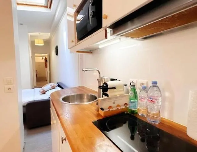 Champs-elysees Montaigne Luxe *