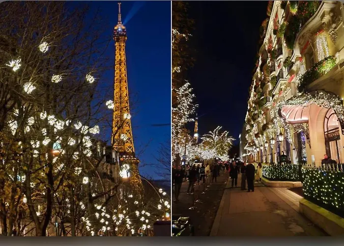 Apartment Champs-elysees Montaigne Luxe *